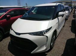 TOYOTA ESTIMA – 2024